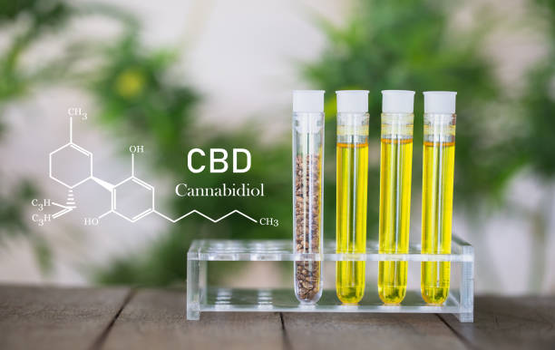 Tất tần tật về dầu CBD trong trị mụn