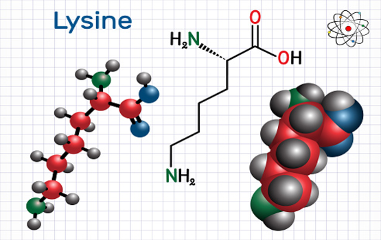 Lý do các bác sĩ da liễu không khuyến khích sử dụng Lysine cho mụn trứng cá
