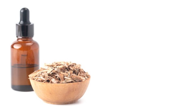 Chiết xuất vỏ cây liễu: Lợi ích và cách sử dụng cho da