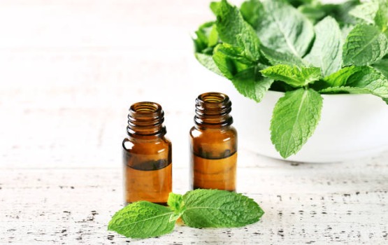 Dầu bạc hà (Peppermint Oil) cho làn da dịu nhẹ, sạch sẽ