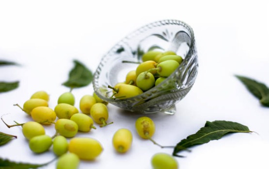 Dầu Neem, thành phần trị mụn đầy hứa hẹn