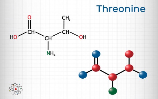 Những điều cần biết về Threonine trong mỹ phẩm