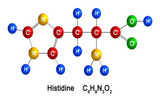 Tất tần tật về Histidine trong làm đẹp