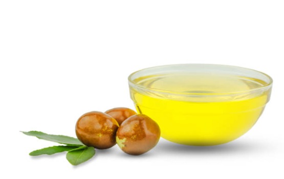 Jojoba, loại dầu kỳ diệu trong chăm sóc da