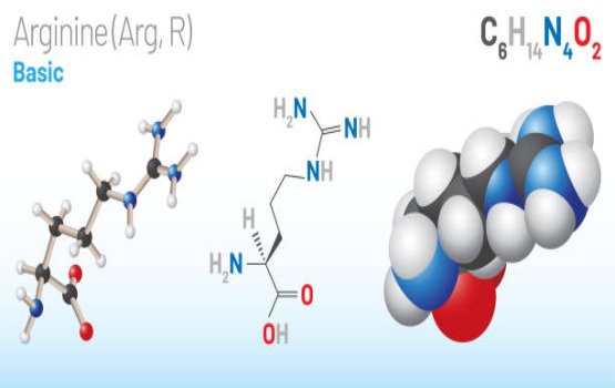 Tại sao Arginine có trong các sản phẩm chăm sóc da?