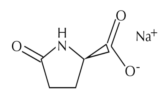 Sodium Pca và và những lợi ích của nó đối với da