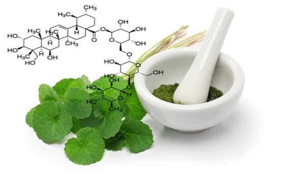 Madecassoside, một thành phần đầy hứa hẹn cho làn da nhạy cảm