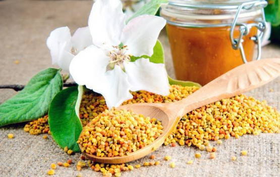 Phấn hoa (Pollen) và các công dụng thần kỳ của phấn hoa