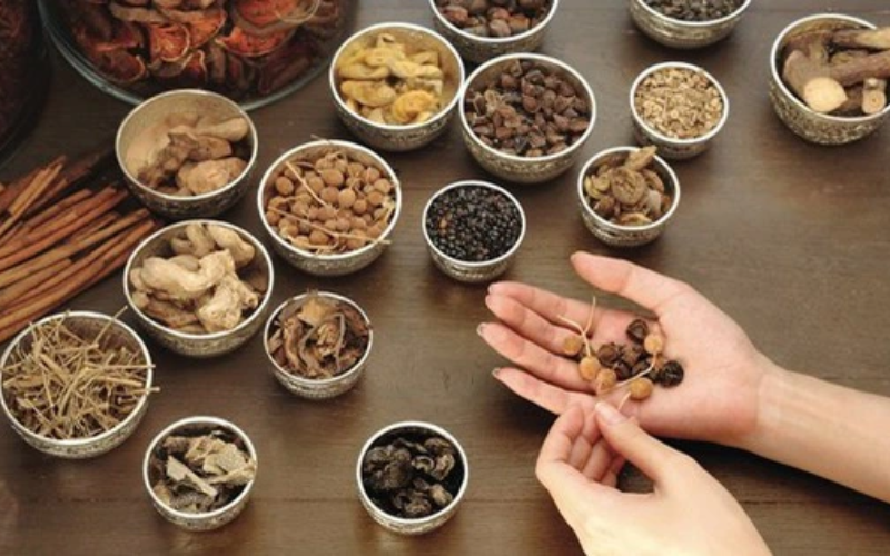 Các dược liệu Đông Y chống lão hoá