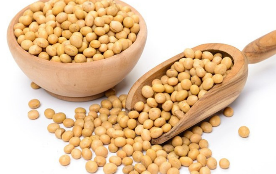 Hạt Đậu Nành - Lợi ích diệu kỳ của hạt đậu nành