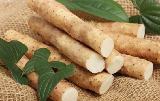 Hoài Sơn: Công dụng, tác dụng và các bài thuốc