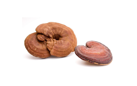 Nấm Linh Chi (Reishi mushroom)