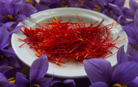 Hoa nghệ tây (Saffron): Những lợi ích diệu kỳ