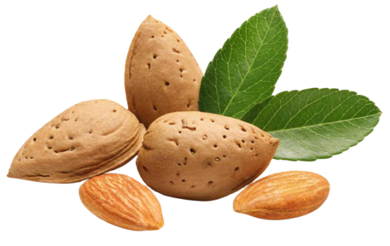 Hạt hạnh nhân: Tác dụng cho cơ thể và các lưu ý