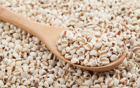 Ý dĩ (Coix seed): Tác dụng, liều dùng và cách sử dụng