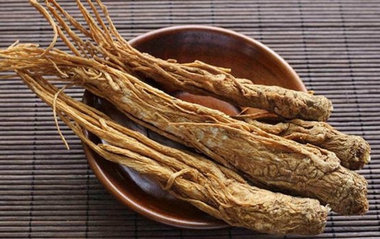 Đương Quy: Công dụng, các bài thuốc sử dụng