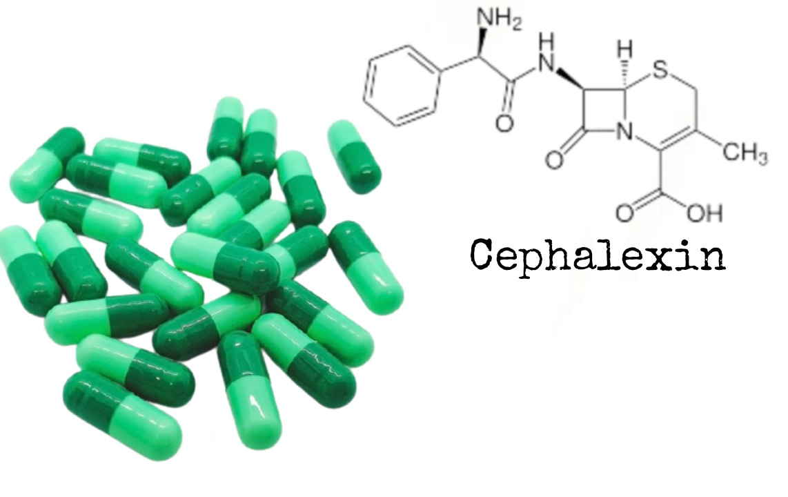 Những điều cần biết trước khi dùng Cephalexin trị mụn