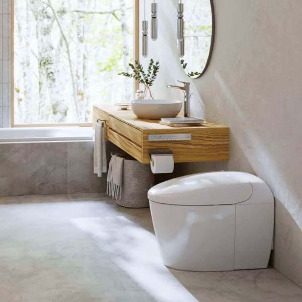 bon-cau-toto-ces9520-5