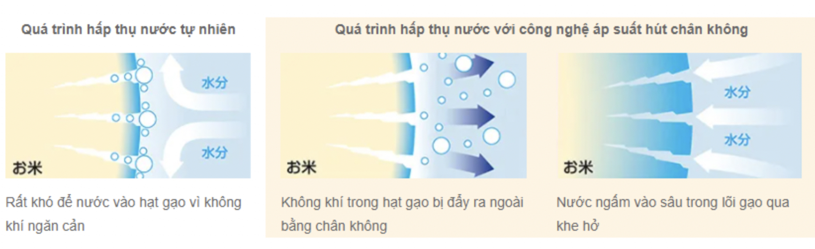 rc-ds18k-rc-ds10k-1-9796d6ee-218d-4c6e-a1a2-606d89136163