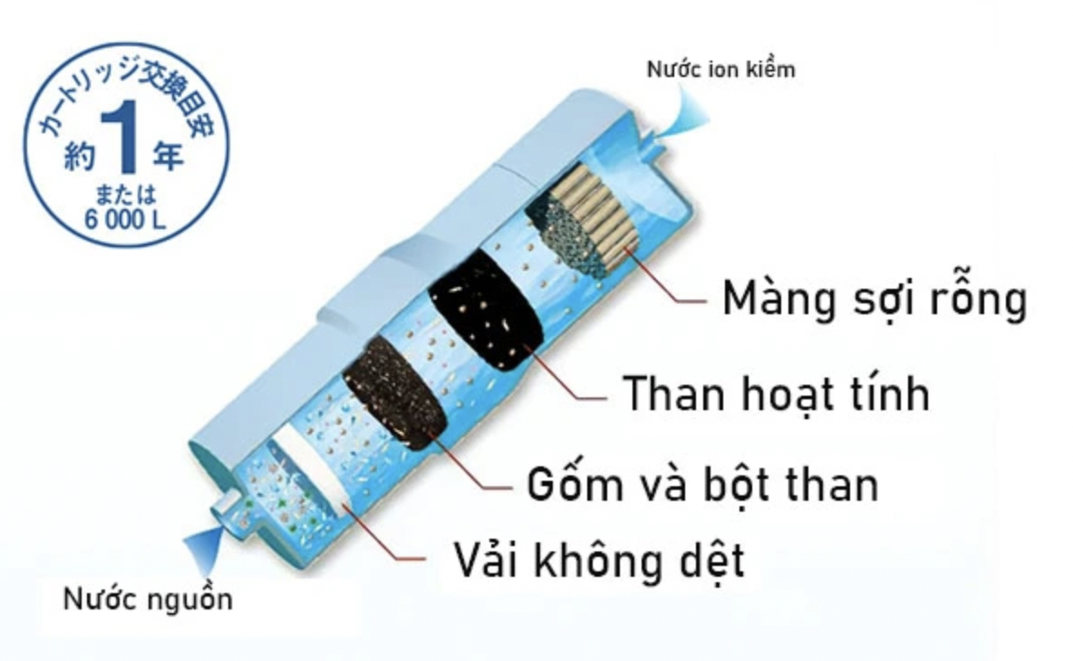 tk-as31-7