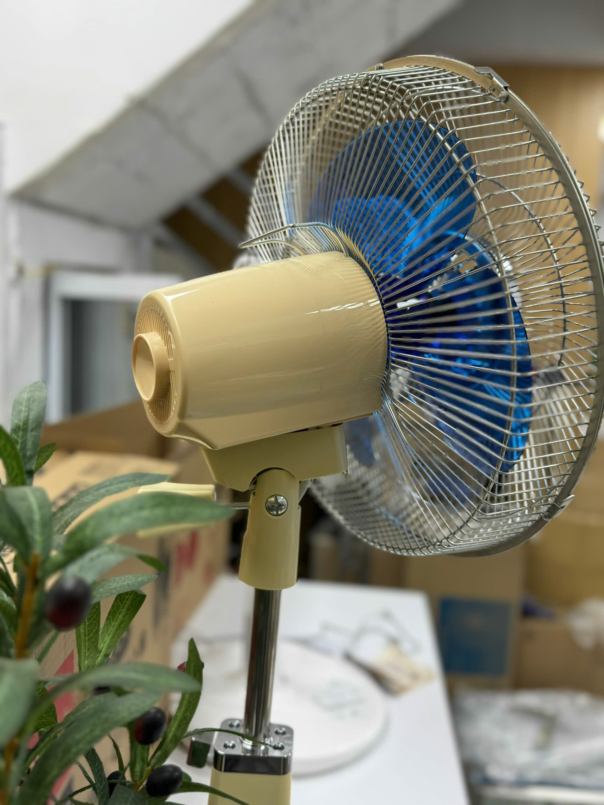 z6473185516470-79334a759953bd2d829ee52ae3fb3e30