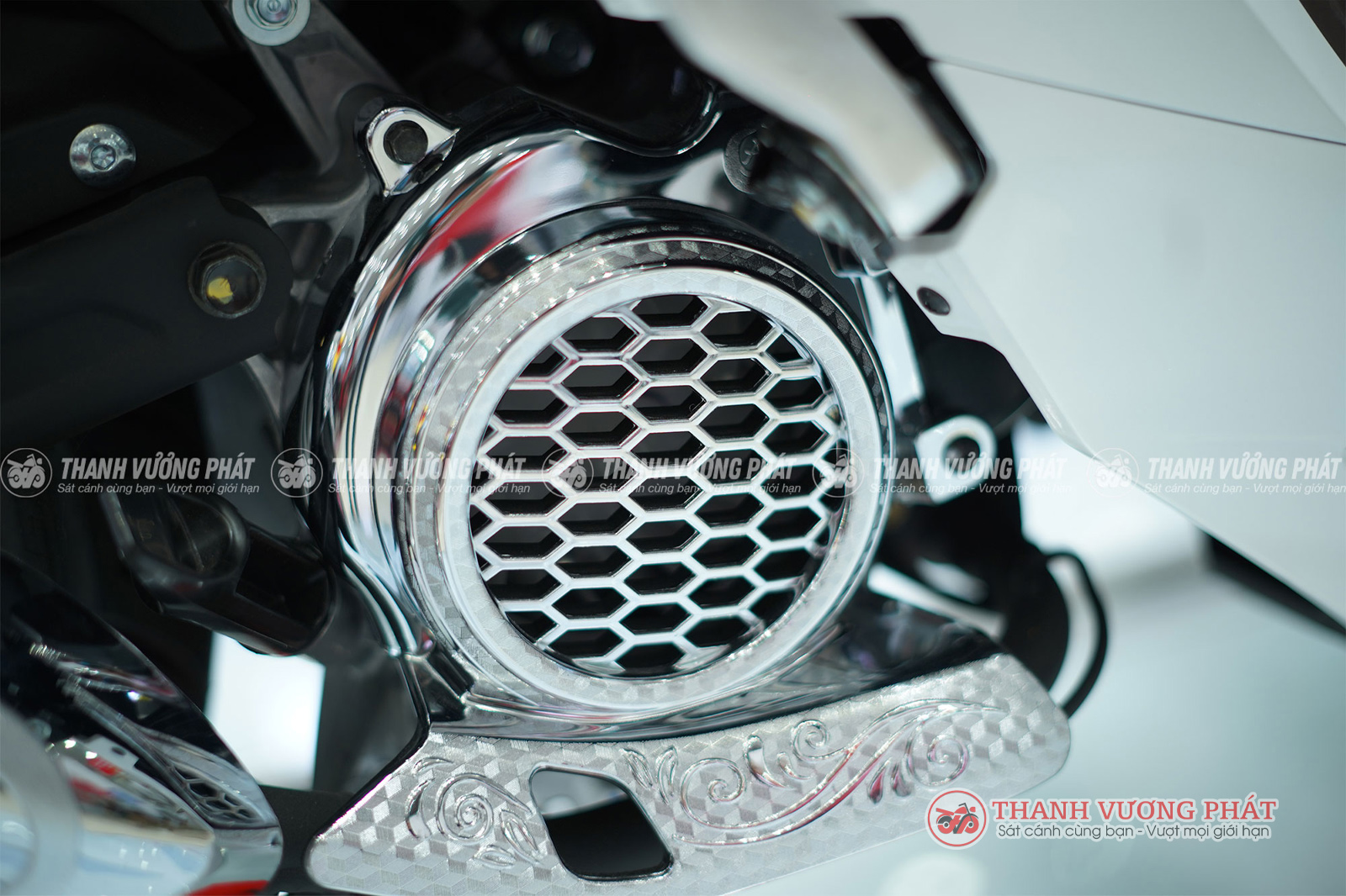 Vision phiên bản Đặc biệt