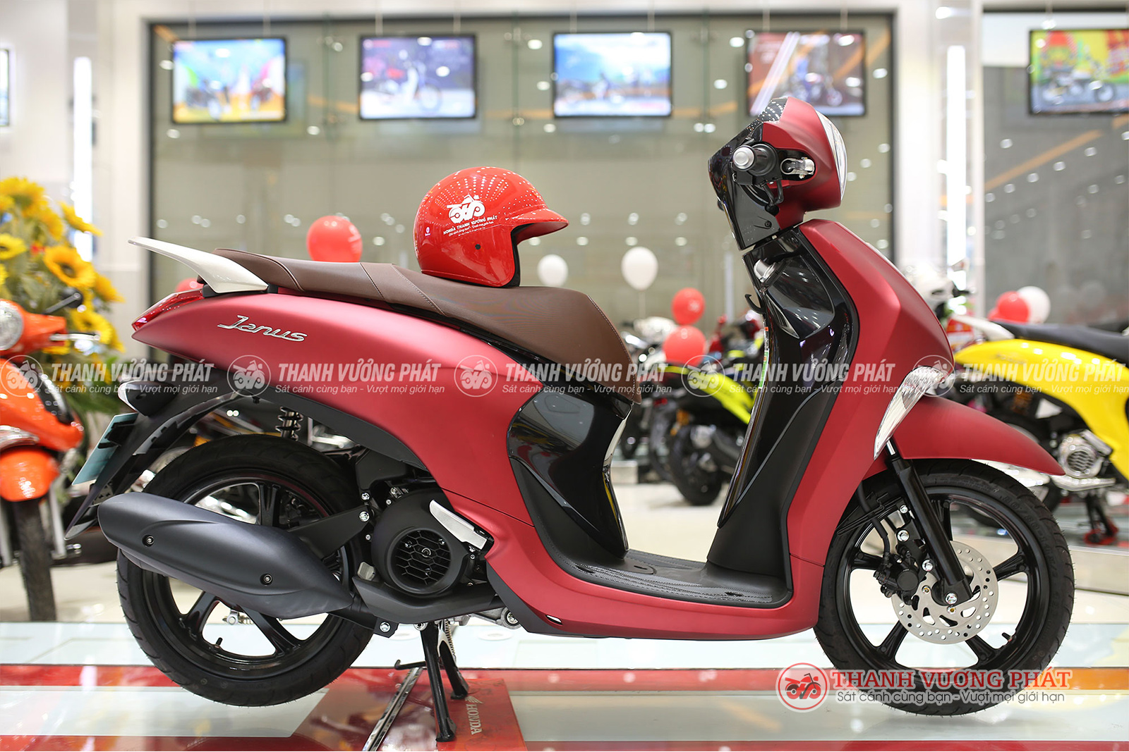Mua xe ga nhỏ gọn chạy phố  chọn Honda Scoopy hay Yamaha Janus