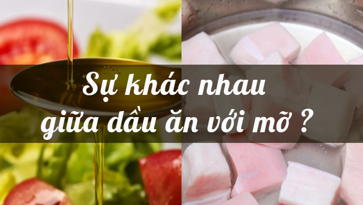 Sự khác nhau giữa dầu ăn và mỡ động vật