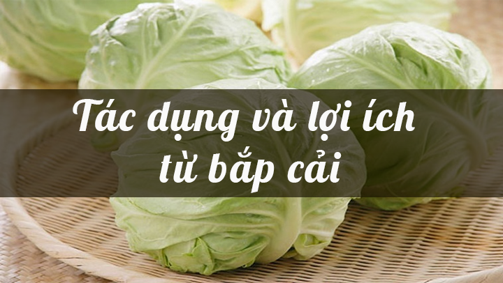 Tác dụng và lợi ích từ bắp cải