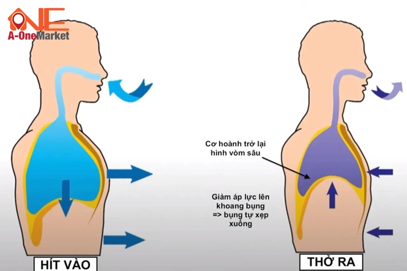Cách thở đúng giúp bạn tăng sức bền và khỏe mạnh hơn