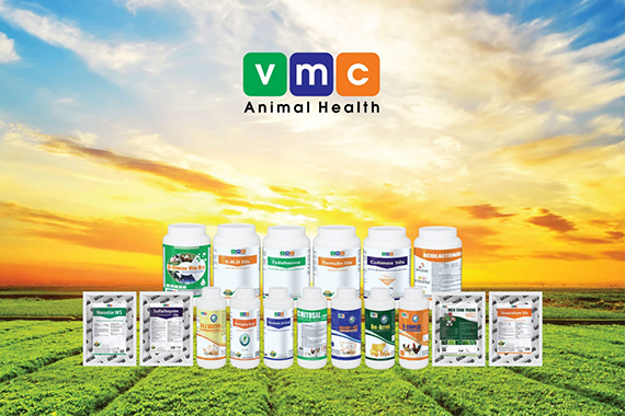 video giới thiệu