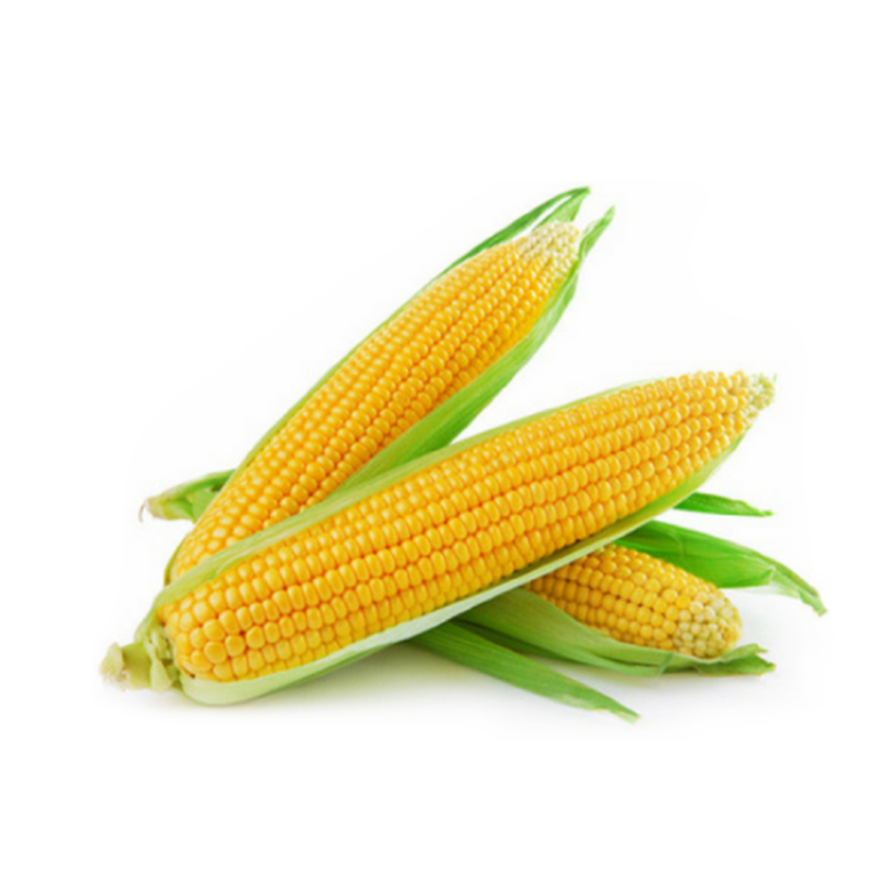 1 trái Bắp Mỹ Đà Lạt 330Gr tươi ngon mỗi ngày - Nhất Tín Food