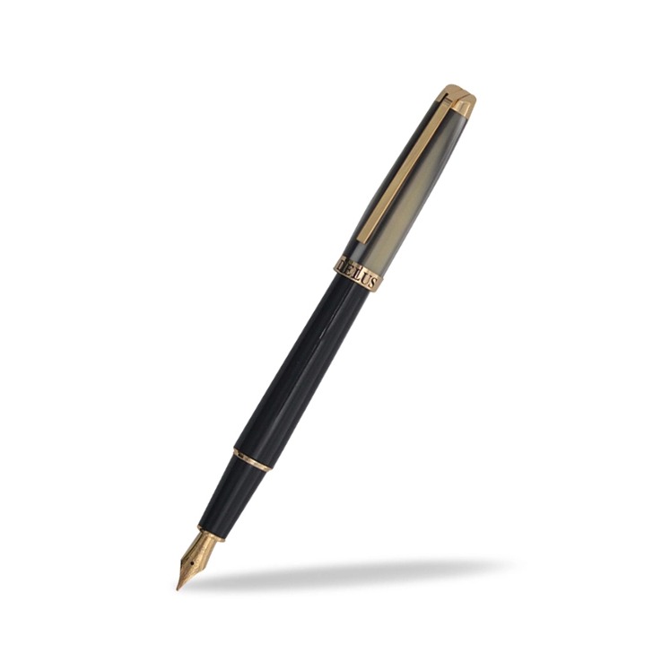 Bút Máy Cao Cấp Hồng Hà 319 HDN13