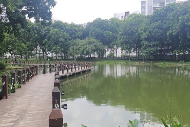 Celadon Park, zone 4