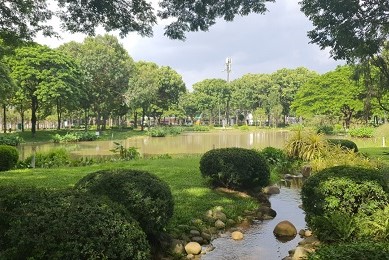 Thành tựu đạt được