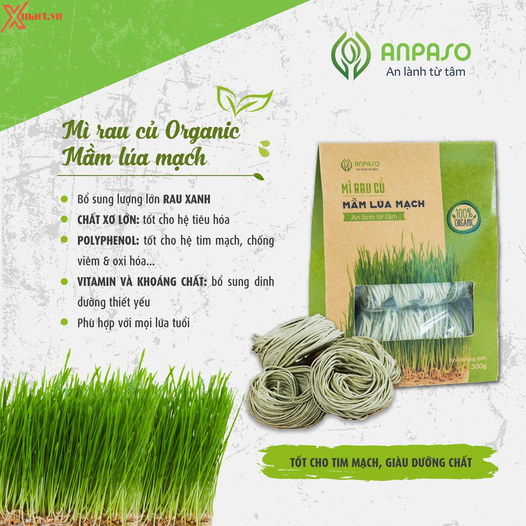 Mì Mầm Lúa Mạch Organic Anpaso 300g