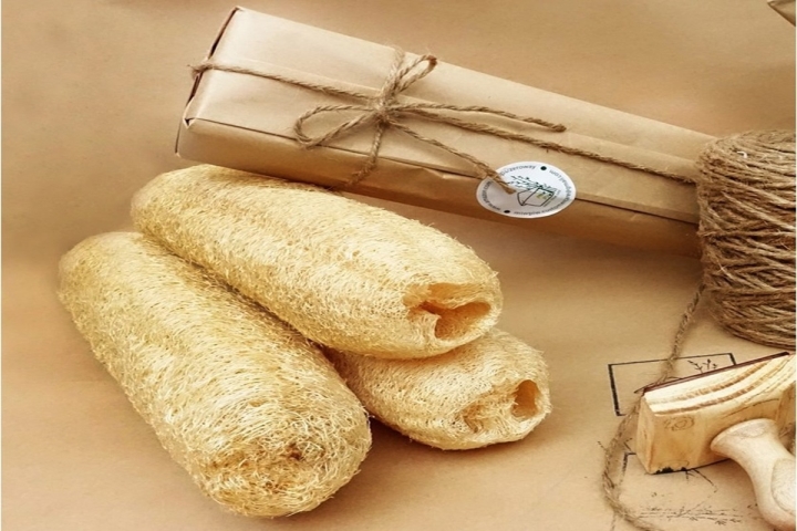 5 Xu hướng chăm sóc da bằng xơ mướp tự nhiên 2026: Sạch sâu và lành tính