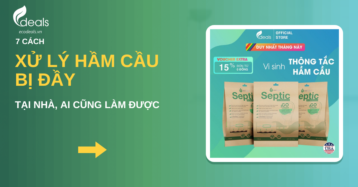 7 cách xử lý hầm cầu bị đầy tại nhà đơn giản, ai cũng làm được