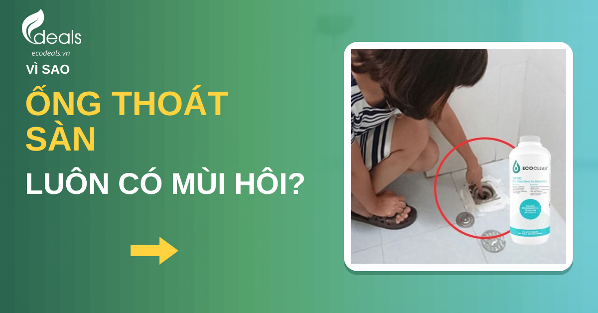 Vì sao ống thoát sàn nhà tắm luôn có mùi hôi dù đã dọn sạch?