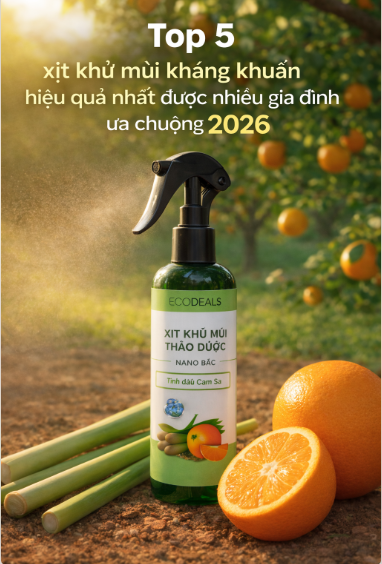 Top 5 xịt khử mùi kháng khuẩn hiệu quả nhất được nhiều gia đình ưa chuộng 2026