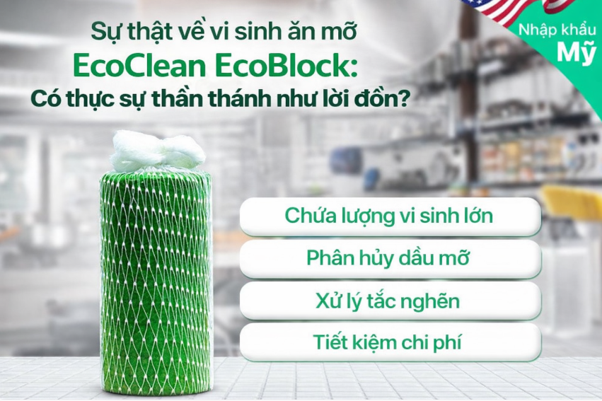 Sự thật về vi sinh ăn mỡ EcoClean EcoBlock: Có thực sự thần thánh như lời đồn?