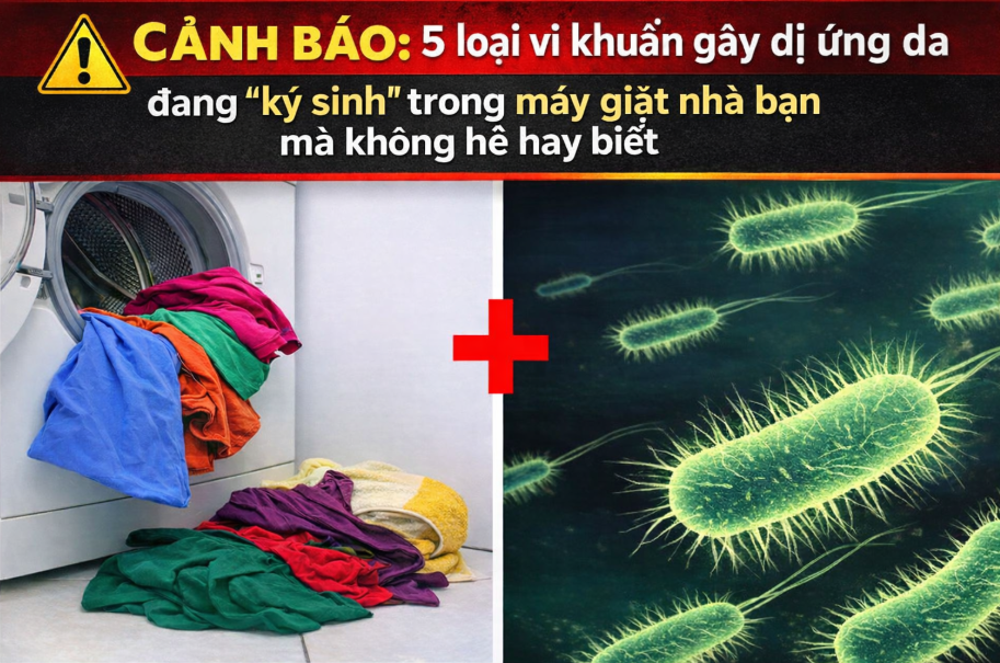 Cảnh báo: 5 loại vi khuẩn gây dị ứng da đang “ký sinh” trong máy giặt nhà bạn mà không hề hay biết