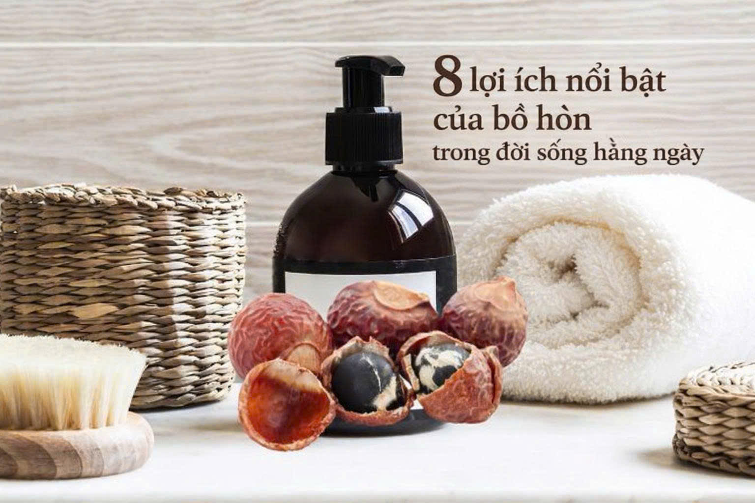 Bồ hòn có tác dụng gì? 8 lợi ích nổi bật của bồ hòn trong đời sống hằng ngày