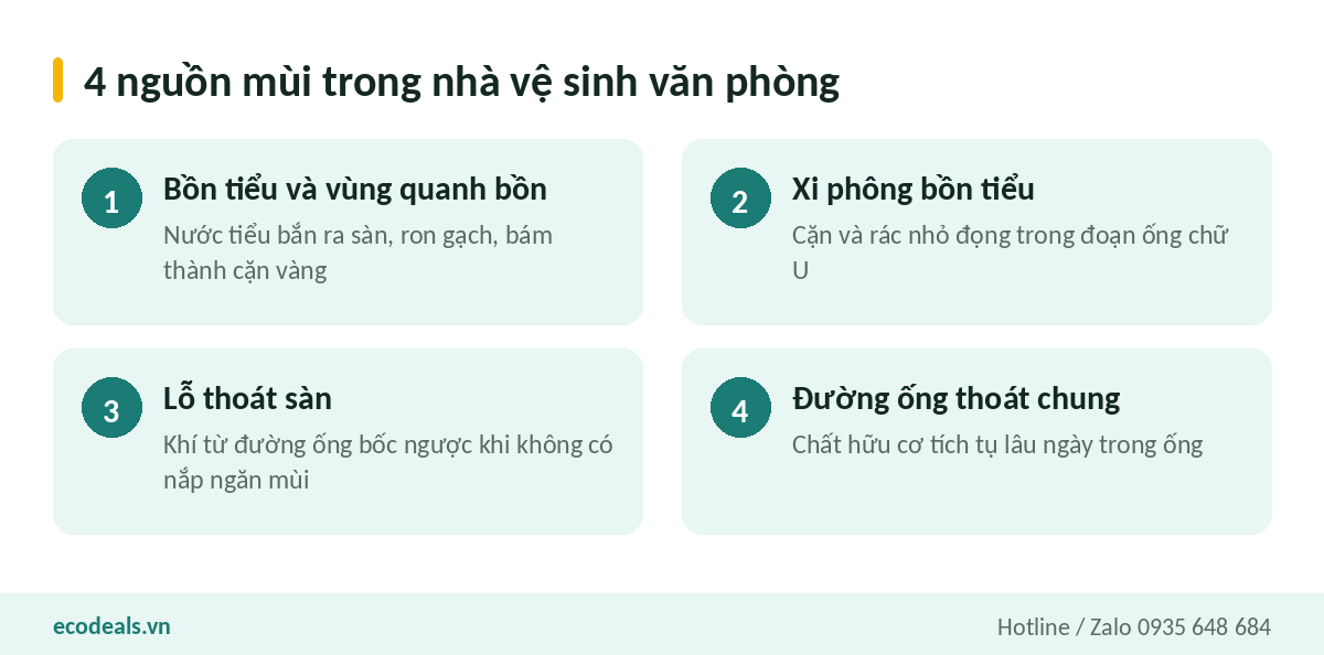 Bốn nguồn gây mùi trong nhà vệ sinh văn phòng gồm bồn tiểu, xi phông, lỗ thoát sàn và đường ống thoát chung