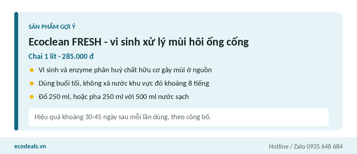 Thẻ sản phẩm Ecoclean FRESH vi sinh xử lý mùi hôi ống cống chai 1 lít kèm cách dùng cho văn phòng