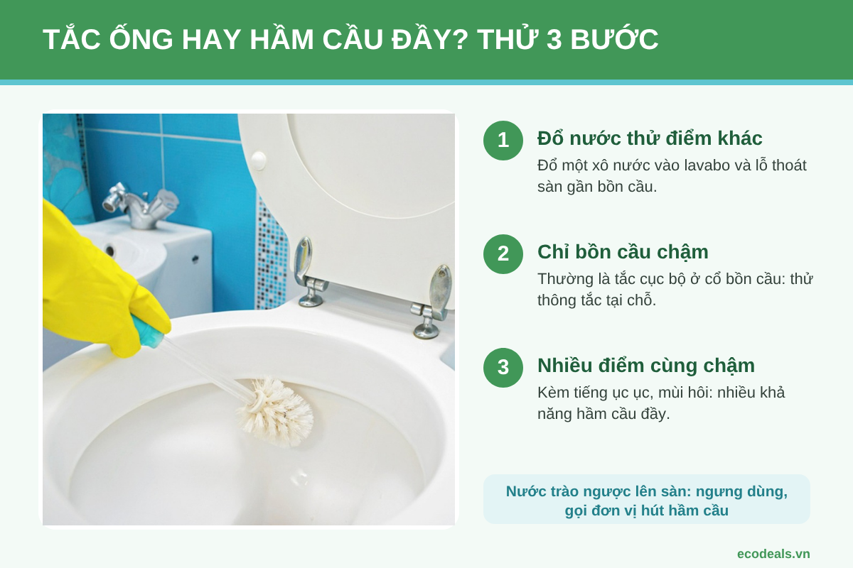 Cách phân biệt bồn cầu tắc cục bộ và hầm cầu bị đầy qua tốc độ thoát nước