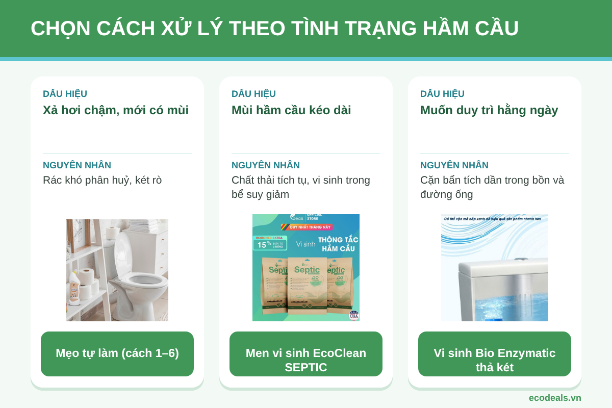 So sánh men vi sinh EcoClean SEPTIC và vi sinh Bio Enzymatic thả két để chọn theo tình trạng hầm cầu
