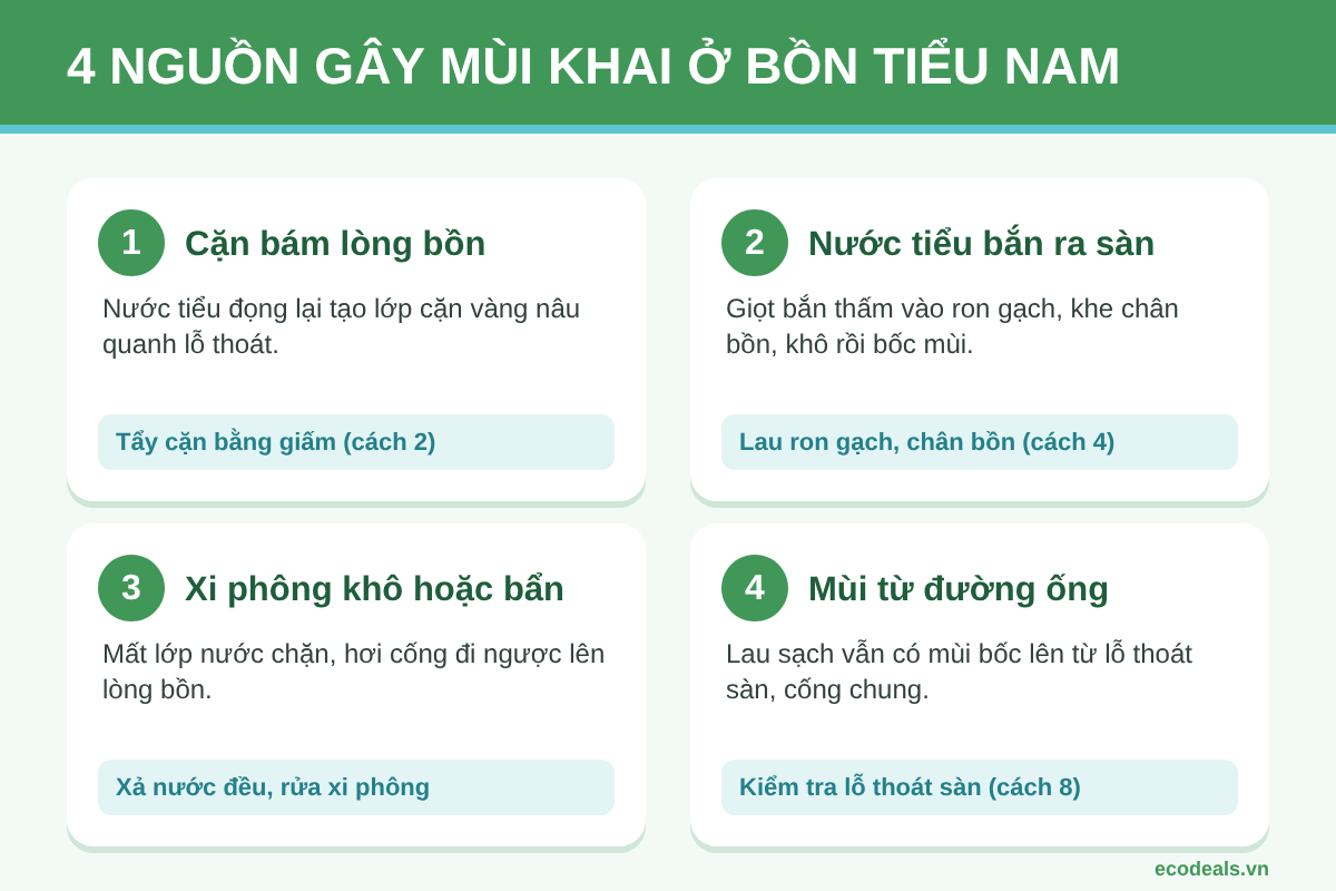 Bảng 4 nguồn gây mùi khai ở bồn tiểu nam: cặn bám lòng bồn, nước tiểu bắn ra sàn, xi phông khô và đường ống