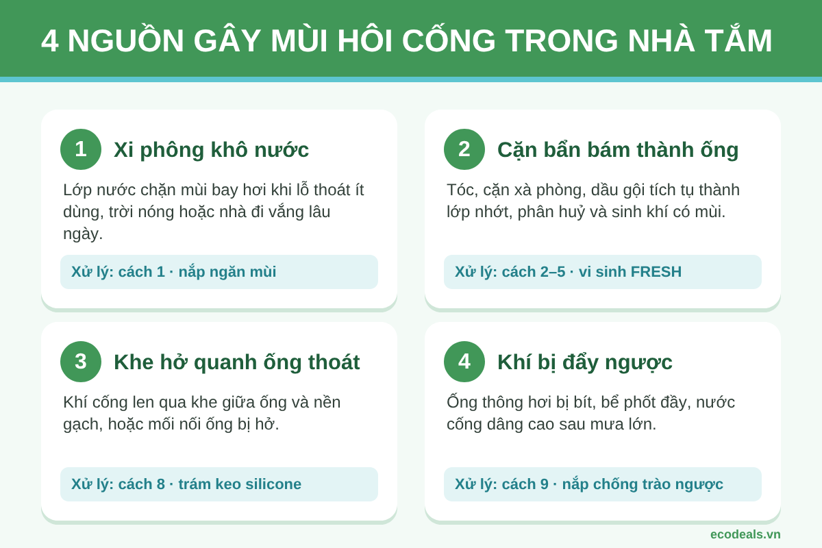 Sơ đồ 4 nguồn gây mùi hôi cống trong nhà tắm: xi phông khô, chất hữu cơ bám thành ống, khe hở quanh ống thoát và khí bị đẩy ngược từ hệ thống chung
