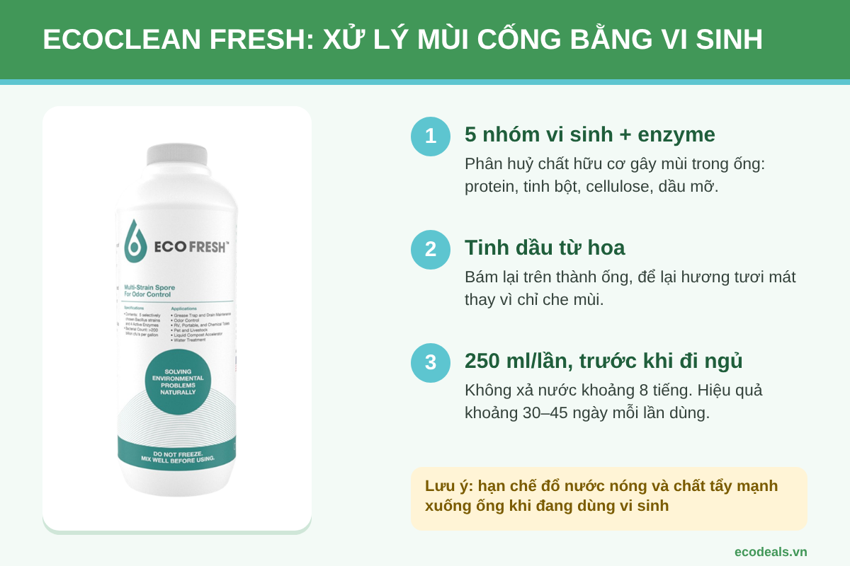 Chai vi sinh Ecoclean FRESH 1 lít dùng xử lý mùi hôi ống cống, lỗ thoát sàn và bồn rửa